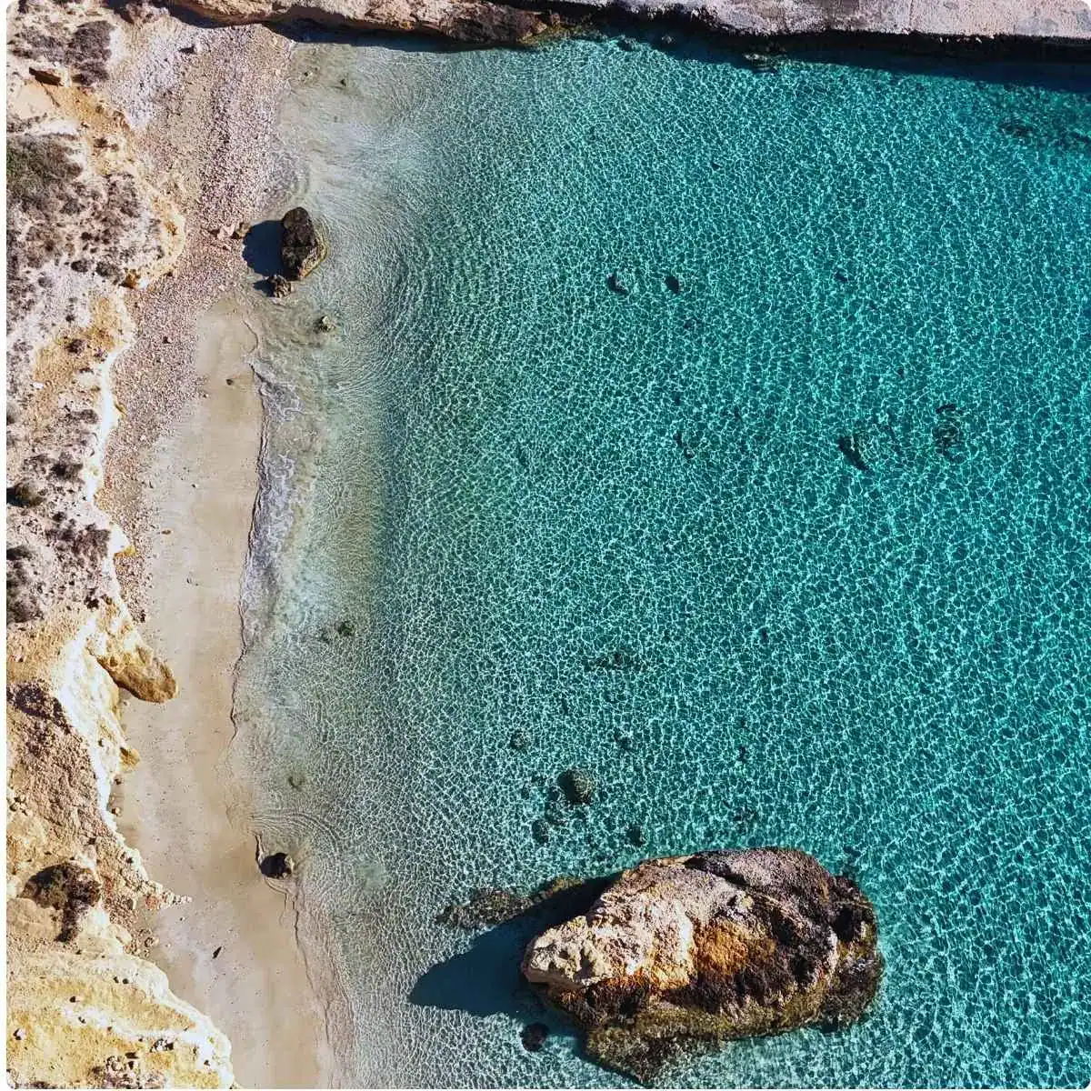 Μικρός Φοίνικας Κουφονήσια